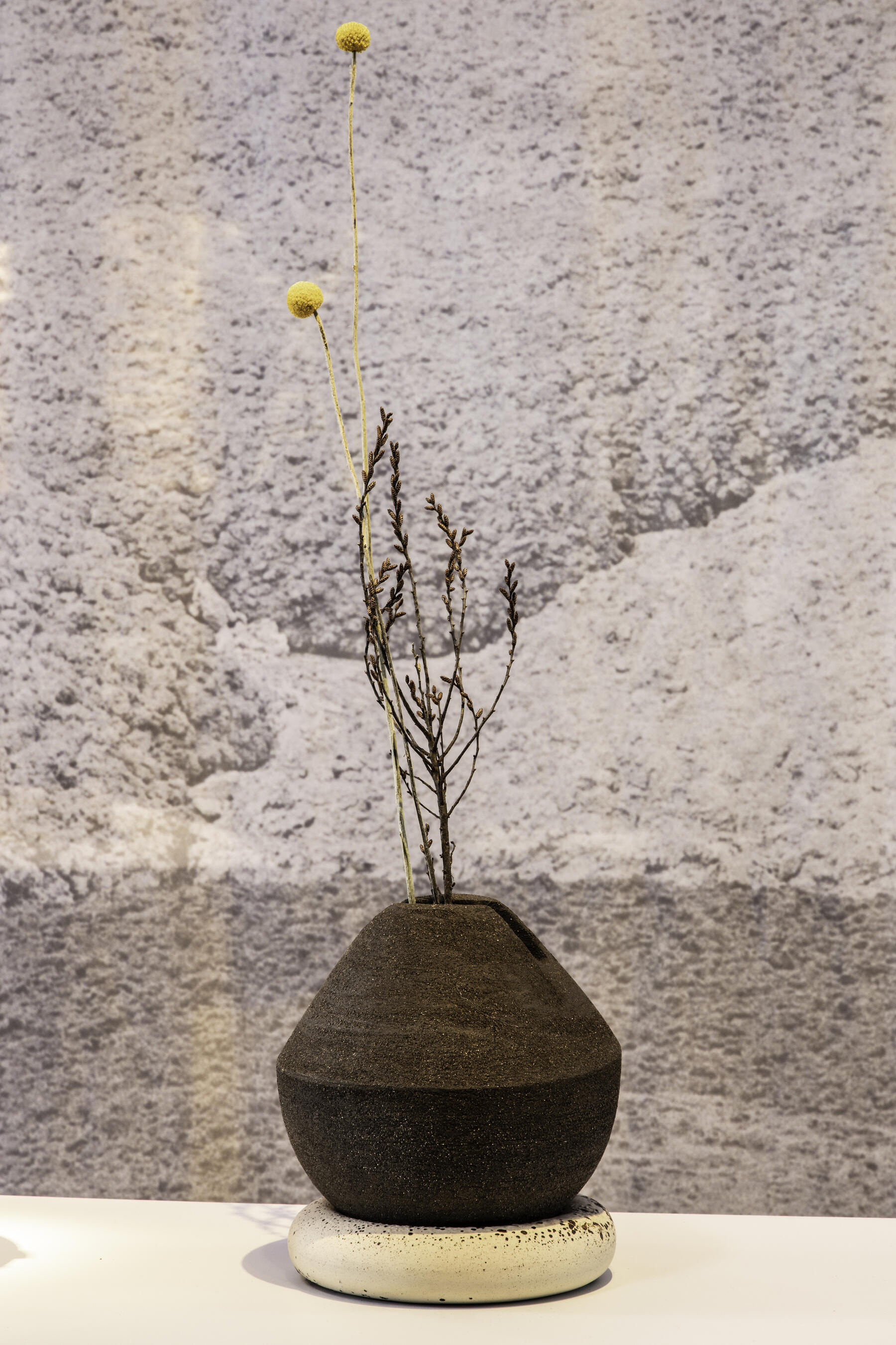 <span class='credits'>&copy; Serge Anton</span>