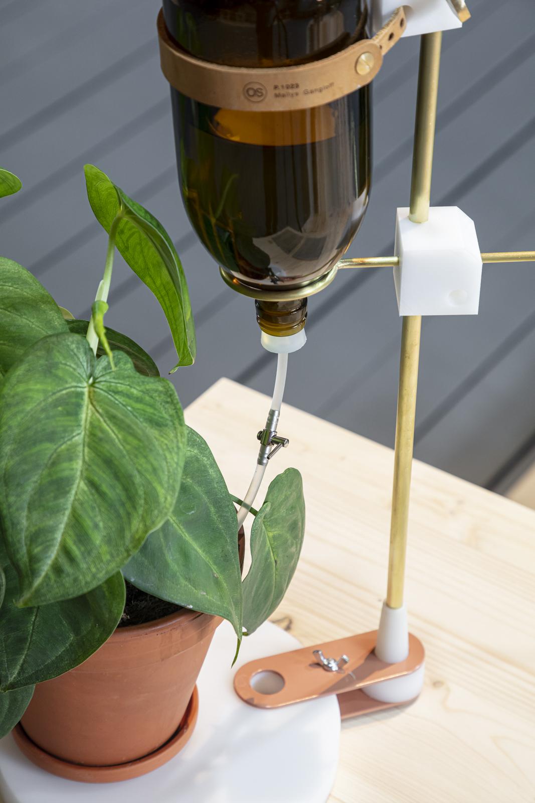 <span class='credits'>© Tim Van de Velde</span>